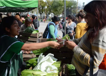EL GOBIERNO DIO DE BAJA A 62.000 BENEFICIARIOS DEL MONOTRIBUTO SOCIAL