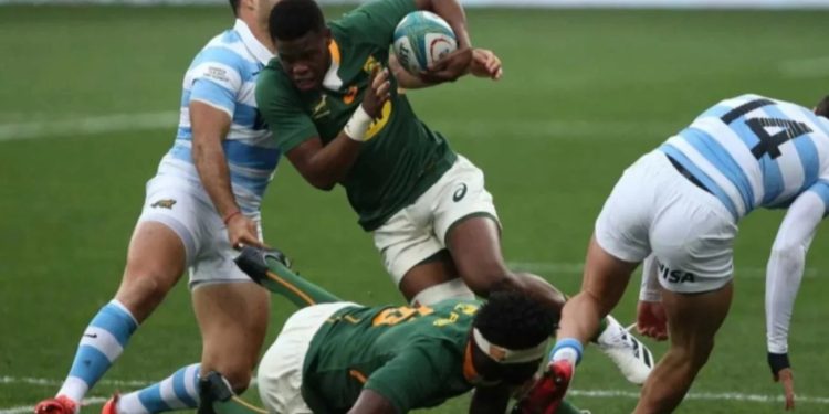 LOS PUMAS VS. SUDÁFRICA, POR EL RUGBY CHAMPIONSHIP