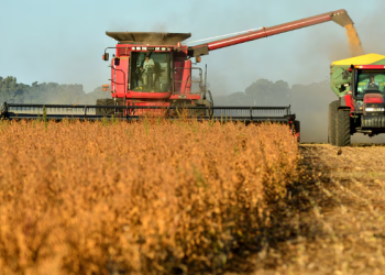 LA ACTIVIDAD ECONÓMICA REGISTRÓ UN LEVE CRECIMIENTO DEL 0,2% EN AGOSTO