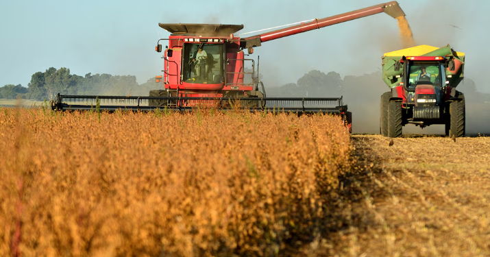 LA ACTIVIDAD ECONÓMICA REGISTRÓ UN LEVE CRECIMIENTO DEL 0,2% EN AGOSTO