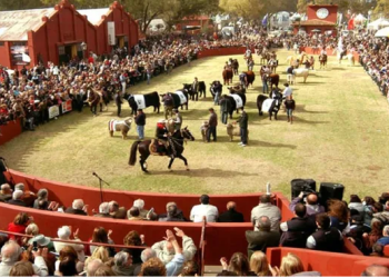 MARTÍNEZ GONZÁLEZ: «TENEMOS UNA GRAN EXPECTATIVA DE LO QUE SERÁ UNA NUEVA EXPOSICIÓN DE LA RURAL»