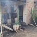SE INCENDIÓ UNA CASA EN EL BARRIO MALDONADO, LAS PERDIDAS FUERON TOTALES