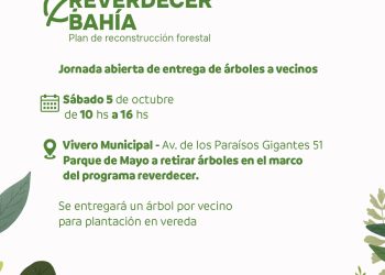 NUEVA JORNADA ABIERTA DE ENTREGA DE ÁRBOLES