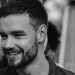 DE CUÁNTO ES LA HERENCIA MILLONARIA DE LIAM PAYNE Y QUIÉN LA RECIBIRÁ