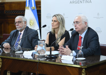 SENADO: OFICIALISMO Y ALIADOS BUSCAN DICTAMINAR MAÑANA LA LEY ANTI MAFIAS