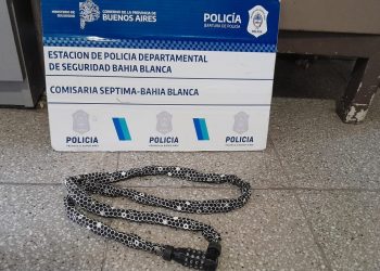 UN HOMBRE FUE DETENIDO POR AGREDIR A SU EX PAREJA CON UNA CADENA Y CANDADO