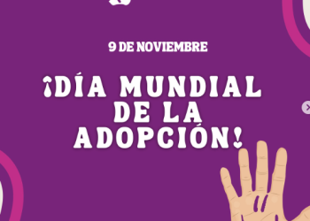 FLORIDO: «ES IMPORTANTE SEGUIR CONCIENTIZANDO SOBRE LA ADOPCIÓN EN ARGENTINA»