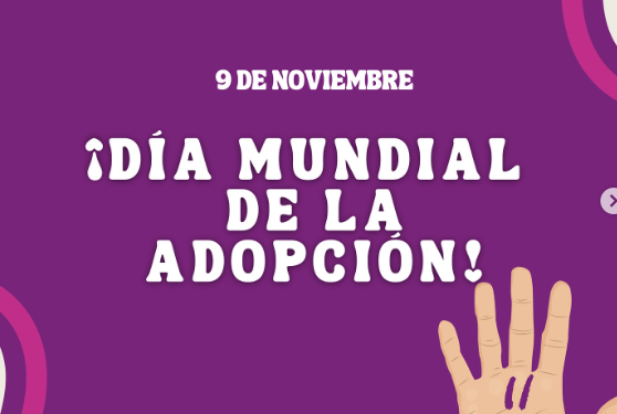 FLORIDO: «ES IMPORTANTE SEGUIR CONCIENTIZANDO SOBRE LA ADOPCIÓN EN ARGENTINA»