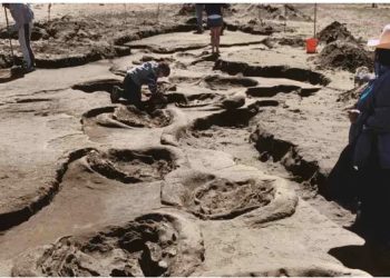 CHARLA SOBRE EL PASO DE CHARLES DARWIN POR PUNTA ALTA