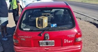 TENIAN ARMAS Y DROGA, QUISIERON ESCAPAR DE LA POLICÍA PERO FUERON CAPTURADOS