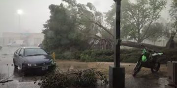 A UN AÑO DE LA TRAGEDIA CLIMATICA EL MUNICIPIO ANUNCIO «ESTADO DE DUELO»