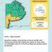 ALERTA AMARILLA POR VIENTO