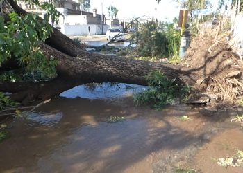 SE CUMPLE UN AÑO DEL TRÁGICO TEMPORAL EN BAHÍA