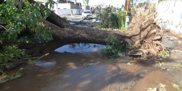 SE CUMPLE UN AÑO DEL TRÁGICO TEMPORAL EN BAHÍA