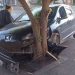 PERDIÓ EL CONTROL DEL AUTO Y CHOCÓ CONTRA UN ARBOL