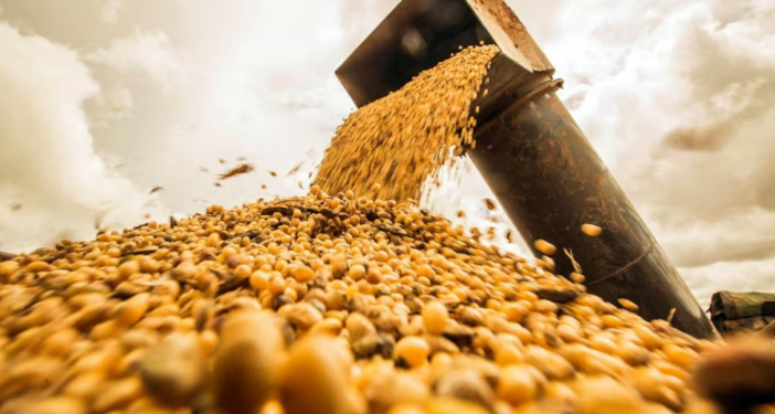 EL GOBIERNO DARÁ INICIO A LA BAJA TEMPORAL DE RETENCIONES AL CAMPO Y HARÁ CONTROLES CON ARCA Y BANCO CENTRAL