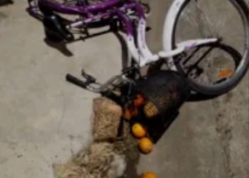 UNA MUJER FUE HOSPITALIZADA LUEGO DE SER EMBESTIDA POR UN MOTOCICLISTA QUE SE DIO A LA FUGA