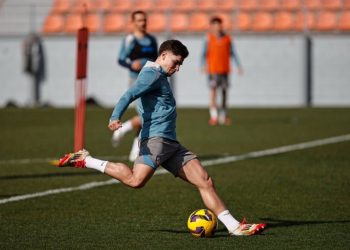 UN GIGANTE DE EUROPA PODRÍA ROMPER EL MERCADO POR JULIAN ALVAREZ