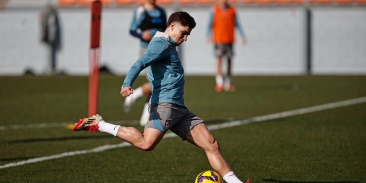 UN GIGANTE DE EUROPA PODRÍA ROMPER EL MERCADO POR JULIAN ALVAREZ