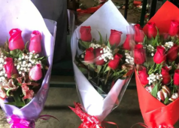 CASAS: «LAS ROSAS ROJAS SON LO QUE MÁS PIDEN EN ESTE DÍA»