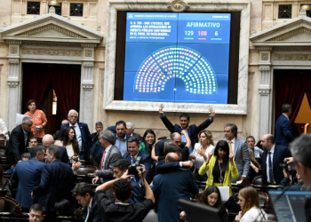 LA CÁMARA DE DIPUTADOS OFICIALIZÓ LA VALIDEZ DEL ACUERDO DEL GOBIERNO CON EL FONDO MONETARIO INTERNACIONAL