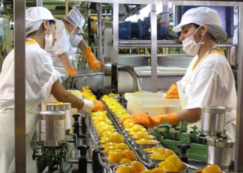 UNA DE CADA CUATRO EMPRESAS INDUSTRIALES ANTICIPA QUE DESPEDIRÁ PERSONAL EN LOS PRÓXIMOS 60 DÍAS