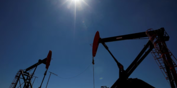 OFICIALIZARON LA ADHESIÓN AL RIGI DEL MEGA PROYECTO EN VACA MUERTA