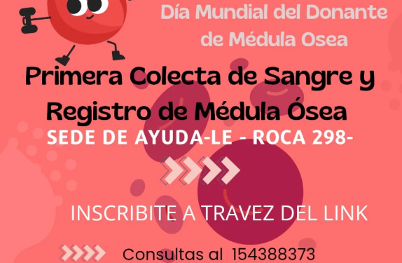 MOLINA: «NECESITAMOS AYUDA PARA ARREGLAR LOS TECHOS DE LOS DEPARTAMENTOS»
