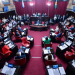 EL SENADO BONAERENSE AVANZARÁ CON LA SUSPENSIÓN DE LAS PASO Y SIN ELECCIONES CONCURRENTES