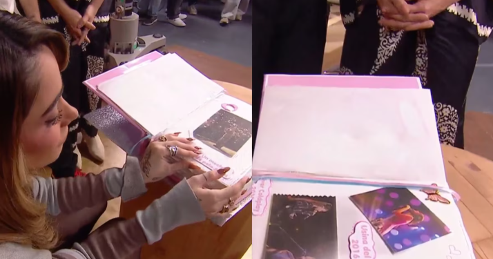 TINI STOESSEL EMOCIONÓ EN LA PEÑA DE MORFI