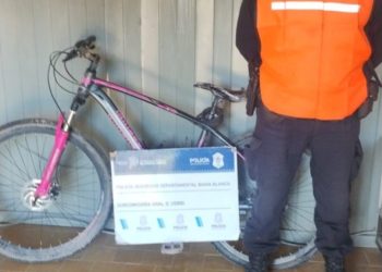 EN UN ALLANAMIENTO SECUESTRARON UNA BICICLETA Y 68 PLANTAS DE MARIHUANA