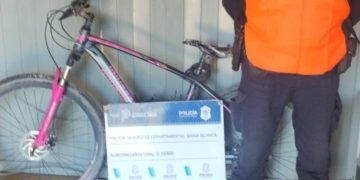 EN UN ALLANAMIENTO SECUESTRARON UNA BICICLETA Y 68 PLANTAS DE MARIHUANA