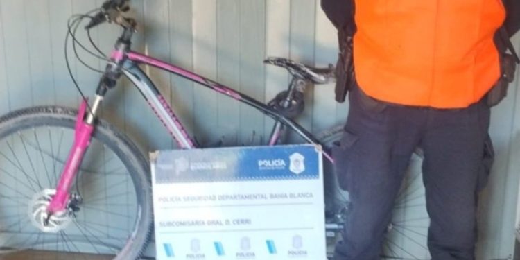 EN UN ALLANAMIENTO SECUESTRARON UNA BICICLETA Y 68 PLANTAS DE MARIHUANA
