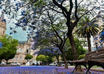 BAHÍA BLANCA CUMPLE 197 AÑOS Y ASI FUNCIONARÁN LOS SERVICIOS DURANTE EL ASUETO