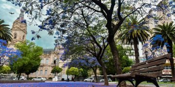 BAHÍA BLANCA CUMPLE 197 AÑOS Y ASI FUNCIONARÁN LOS SERVICIOS DURANTE EL ASUETO