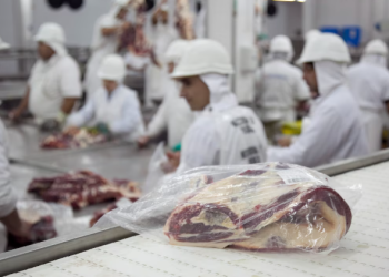 ARANCELES: CÓMO IMPACTARÁ EN LA ARGENTINA LA PAUSA POR 90 DÍAS QUE ANUNCIÓ DONALD TRUMP