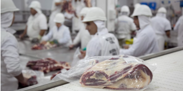 ARANCELES: CÓMO IMPACTARÁ EN LA ARGENTINA LA PAUSA POR 90 DÍAS QUE ANUNCIÓ DONALD TRUMP