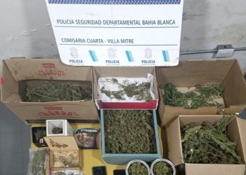 HALLARON UNA PLANTACIÓN DE MARIHUANA DURANTE UN ALLANAMIENTO EN VILLA MUÑIZ