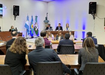 MARTÍNEZ ZARA: «ES MÁS FÁCIL ECHARLE LA CULPA AL OFICIALISMO QUE PONERSE A ESTUDIAR LA RENDICIÓN DE CUENTAS»