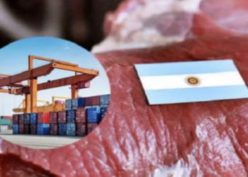 EXPORTACIONES DE CARNE: SUBEN LAS VENTAS A EE.UU Y SE RETRAEN LOS ENVÍOS A CHINA