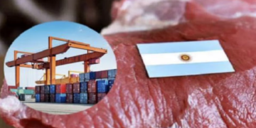 EXPORTACIONES DE CARNE: SUBEN LAS VENTAS A EE.UU Y SE RETRAEN LOS ENVÍOS A CHINA