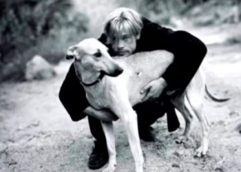 EL EMOTIVO RECUERDO DE BRAD PITT SOBRE SU VIAJE A LA ARGENTINA Y EL PERRO QUE ADOPTÓ EN MENDOZA