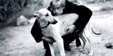EL EMOTIVO RECUERDO DE BRAD PITT SOBRE SU VIAJE A LA ARGENTINA Y EL PERRO QUE ADOPTÓ EN MENDOZA