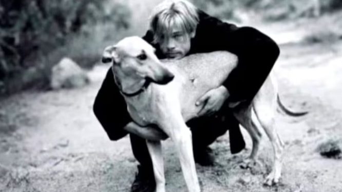EL EMOTIVO RECUERDO DE BRAD PITT SOBRE SU VIAJE A LA ARGENTINA Y EL PERRO QUE ADOPTÓ EN MENDOZA