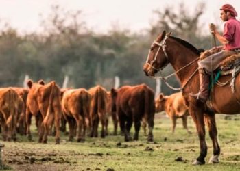 PIANGATELLI: «MÁS DEL 70% DE LOS TRABAJADORES RURALES ESTÁ EN LA INFORMALIDAD»