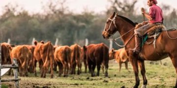 PIANGATELLI: «MÁS DEL 70% DE LOS TRABAJADORES RURALES ESTÁ EN LA INFORMALIDAD»