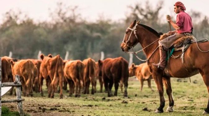 PIANGATELLI: «MÁS DEL 70% DE LOS TRABAJADORES RURALES ESTÁ EN LA INFORMALIDAD»