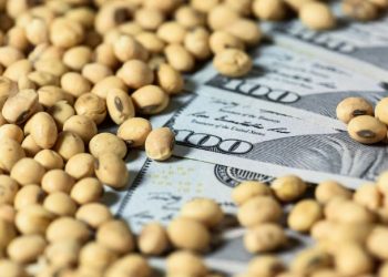 TERMINÓ LA BAJA TEMPORAL DE LAS RETENCIONES PARA LA SOJA Y DESDE HOY VOLVERÁ A PAGAR UNA ALÍCUOTA MAYOR