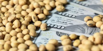 TERMINÓ LA BAJA TEMPORAL DE LAS RETENCIONES PARA LA SOJA Y DESDE HOY VOLVERÁ A PAGAR UNA ALÍCUOTA MAYOR