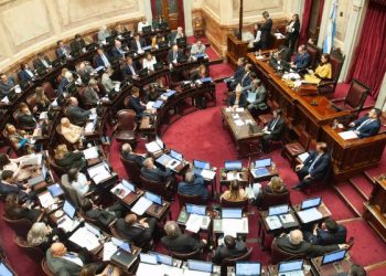 LA SEMANA QUE VIENE EL SENADO BUSCARÁ APROBAR LA INSISTENCIA DE LA EMERGENCIA EN DISCAPACIDAD